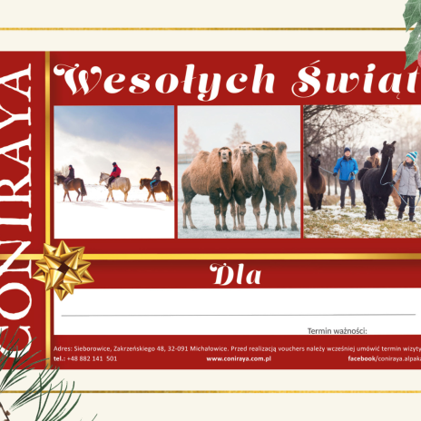 voucher świąteczny