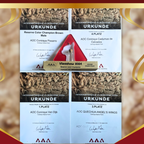 internationale vlieshow 2024 (1)