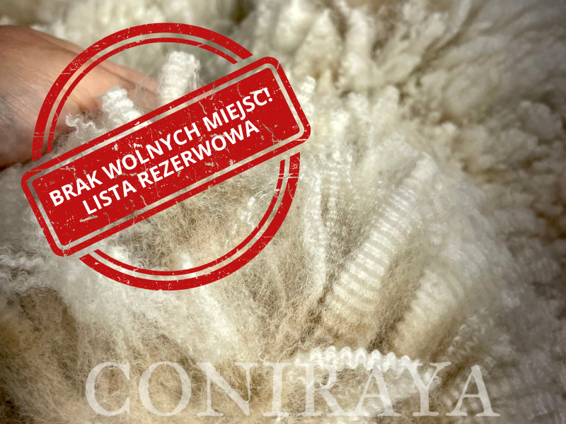 main image: Seminarium dla hodowców alpak z Robinem Nasemannem