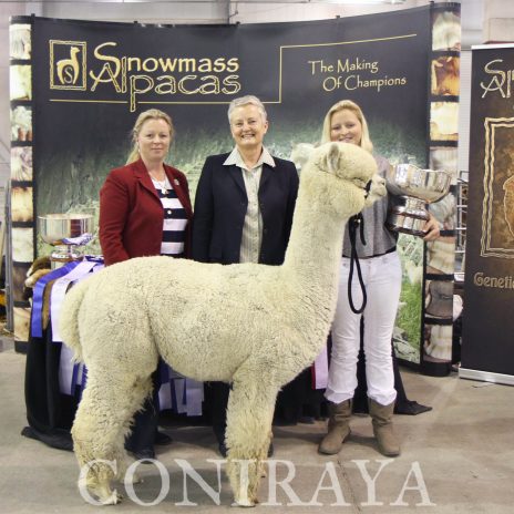 Coniraya Crystal Angel Snowmass Defiance 7