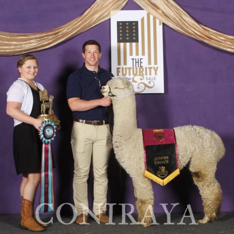 Coniraya Crystal Angel Snowmass Oblivion 7