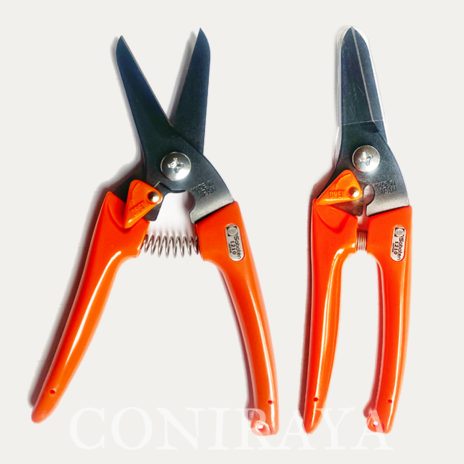 coniraya Kantary i nożyce2