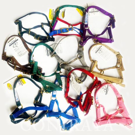 coniraya Kantary i nożyce4