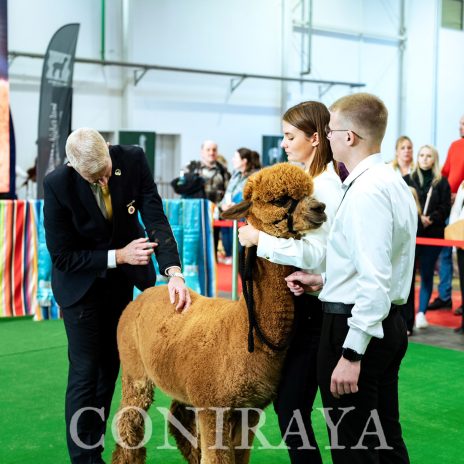 Halter Show PZHA 2024 1