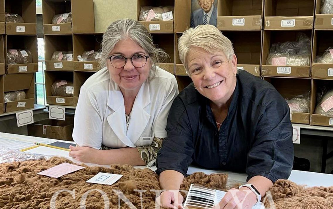 main image: Judge Training