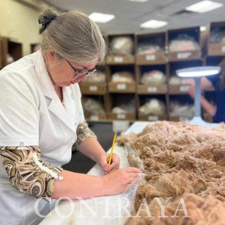 coniraya Judge Training6