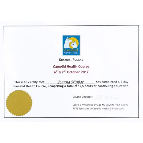 coniraya poznaj nas Breeding Alpacas seminar 6_7 10 2017 16