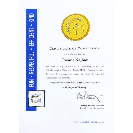 coniraya poznaj nas Camelidynamics 31 08 2015 12