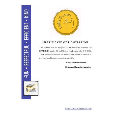 coniraya poznaj nas VirtualCamelidynamicsconfcert 3