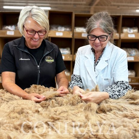 coniraya Judge Training i egzamin1