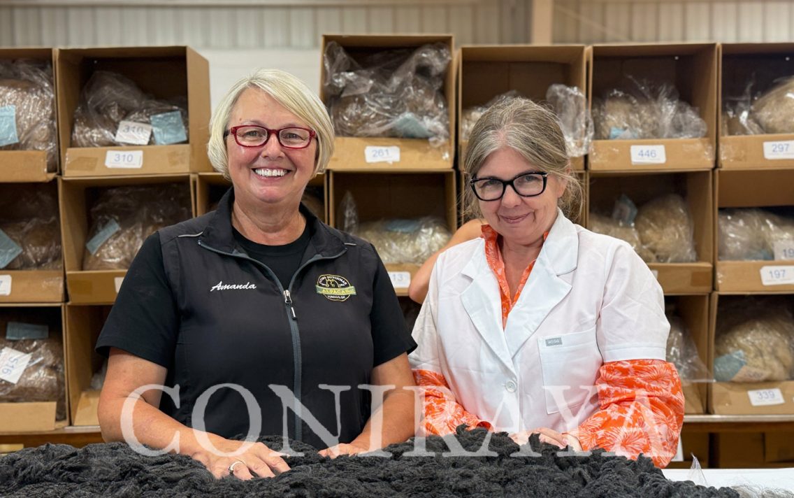 main image: Judge Training i egzamin