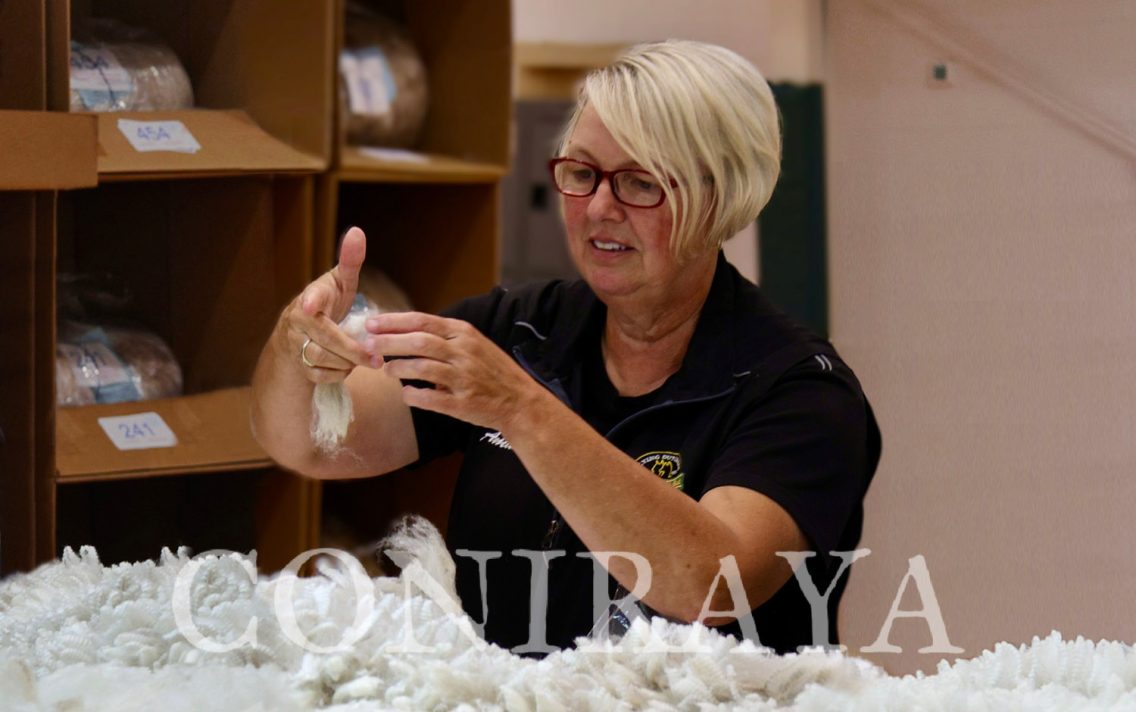 main image: Tajniki hodowli alpak – termin i szczegóły wkrótce