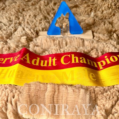 coniraya1 Van Dijk i Internationale Vliesshow 2025