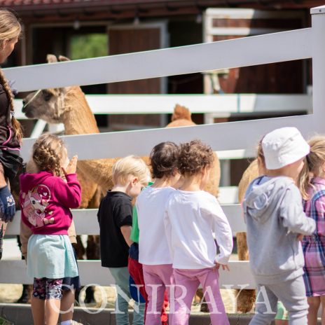2025 11 05 coniraya Wycieczki edukacyjne do Coniraya2