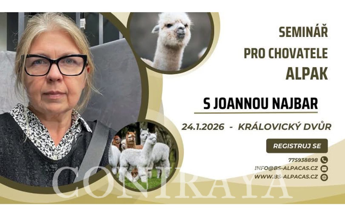 main image: Seminář pro chovatele alpak s Joannou Najbar 24.01.2026r – Královický Dvůr