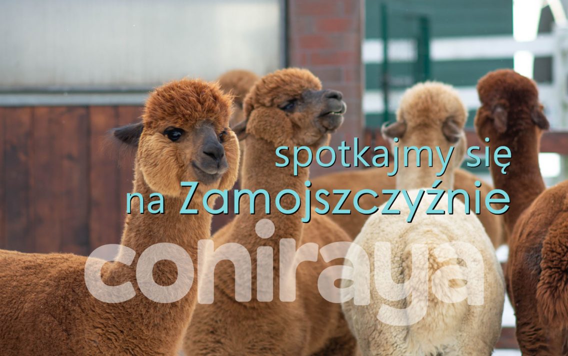 main image: Alpaki od Podstaw 2.0 – świadoma hodowla krok po kroku 11.07.2026r